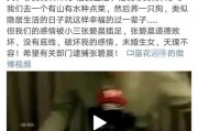 吃瓜娱乐营销号